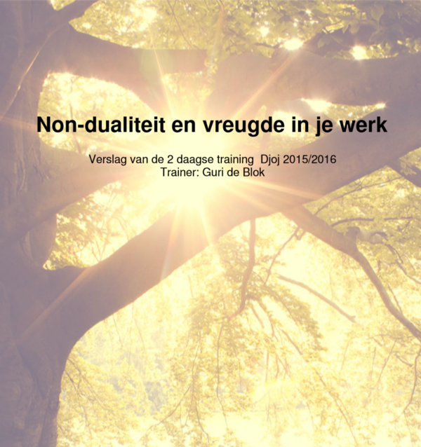 Pdf boek Non dualiteit en vreugde in werk