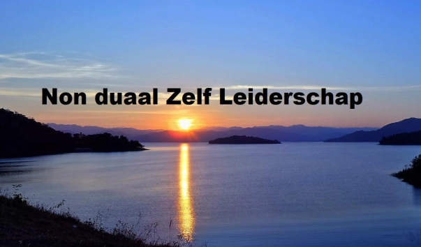Syllabus Non Duaal Zelf Leiderschap